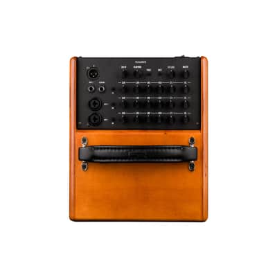 GR Audio WD Acoustic 6 guitar amplifier image 2