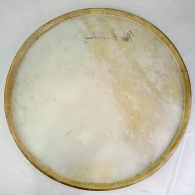 William F Ludwig II SIGNED 14"Calf Skin Drum Head Vintage30s WFL Wm Snare Batter image 2