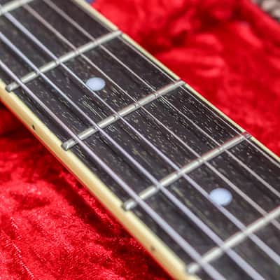 Epiphone Tom DeLonge Signature ES-333 | Brown Cream Stripe image 9