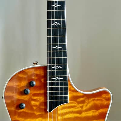 Taylor T5 image 5