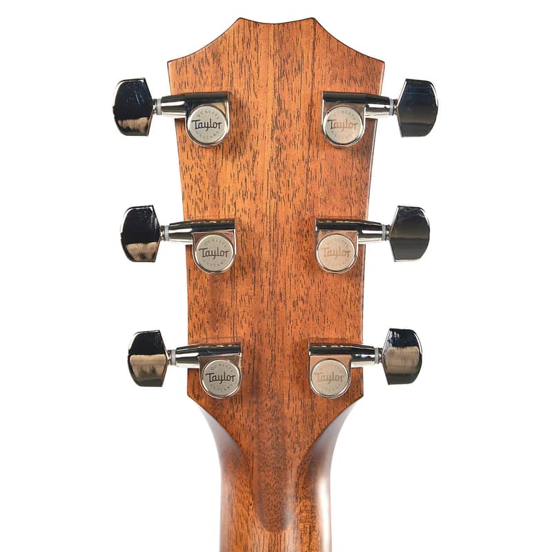 Taylor 312ce LTD image 7