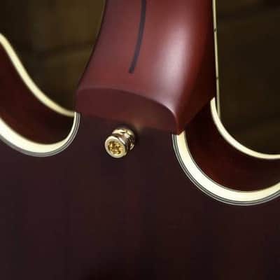D'Angelico Deluxe Dc Mini Double Cutaway w/ stop-bar tailpiece Satin Trans Wine image 3