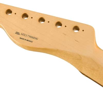 Fender Classic Series Mexico 60s Telecaster/Tele Neck, C-Shape, 7.25" Radius, Pau Ferro image 7
