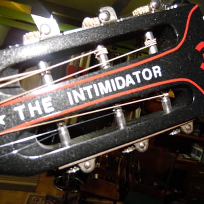 Custom Shop Guitar (Dale Earnhardt Sr.) image 8