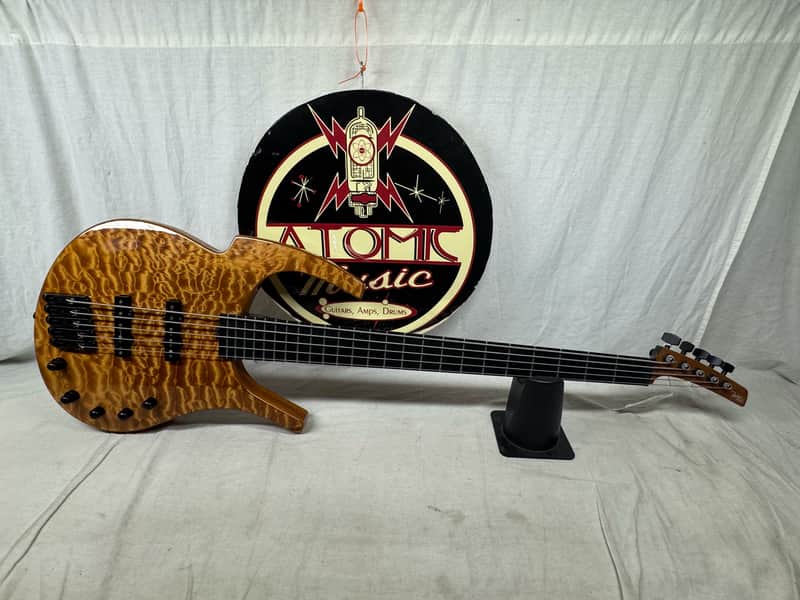 Parker USA FB-5 fb5 Fly 5-string Bass image 1