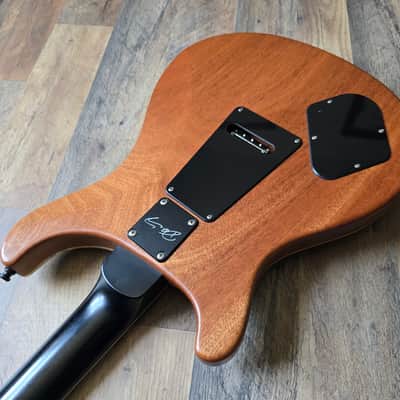 PRS Dustie Waring CE-24 image 17