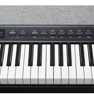 Kurzweil KAP1 Black image 8