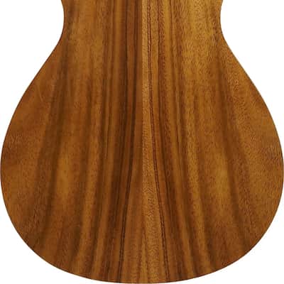 Ibanez PN2WS Parlor Acoustic Guitar, Siris Top, Open Pore Brown image 3