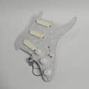 EMG DG20 David Gilmour Pre-Wired Loaded Strat Pickguard