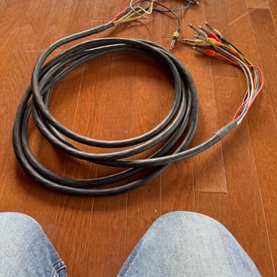 Hosa CPP804 8 1/4" TS Patch Snake - 4 Meter(13 ft) 2000s - Standard image 1