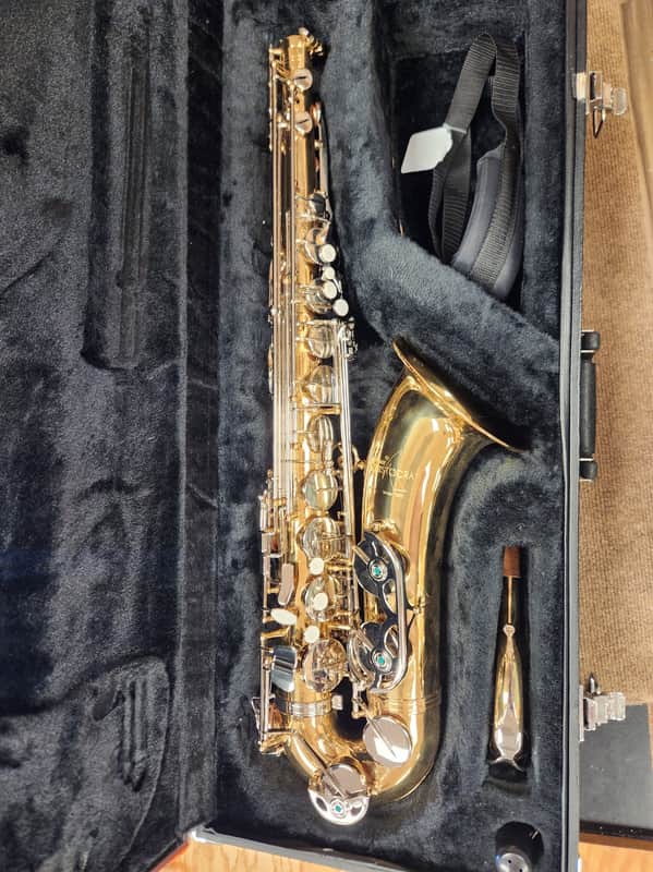Selmer AS210 Alto Saxophone with case