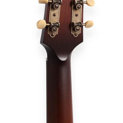 Iris Guitar Company DF 2023 - Sunburst, Adirondack Top, Ivoroid Binding. NEW (Authorized Dealer) image 15