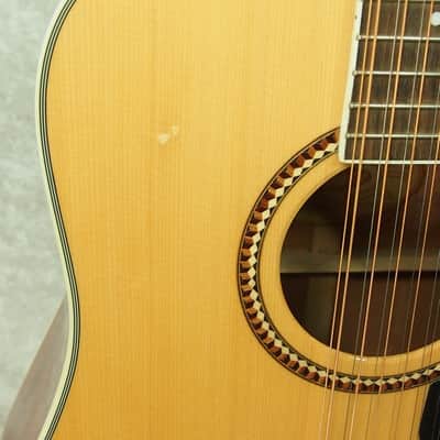 Washburn D10S 12 D-10S12 D 10 S 12 string acoustic guitar image 5