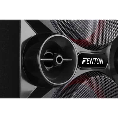 Fenton Live2104 Karaokestat.2 X10″ Bt.2 Xmic image 6