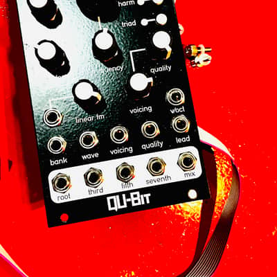 Qu-Bit Electronix Chord v2 2019 - Present - Black image 4