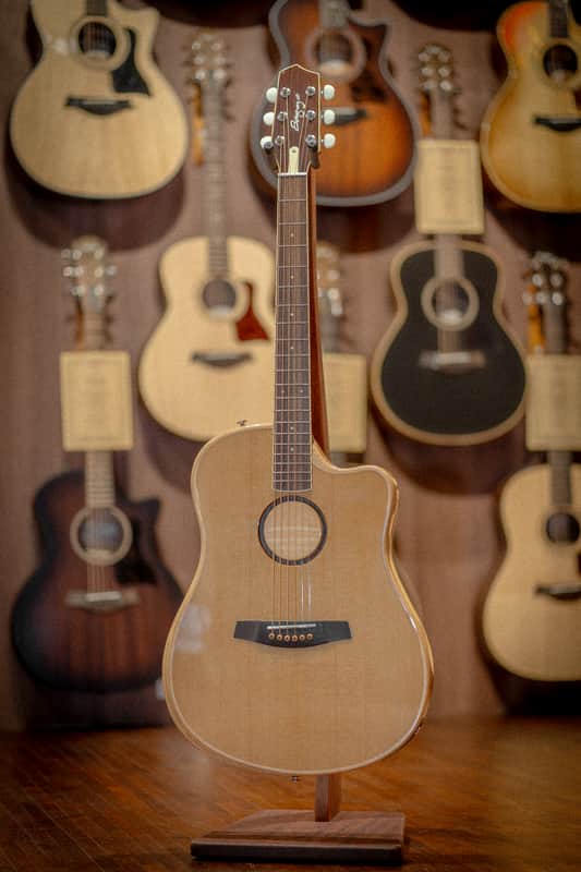 LR Baggs AEG-1 Acoustic electric Guitar Torrefied Spruce Top image 1