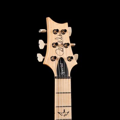 PRS CE Swamp Ash Special Maple - Black Doghair Smokeburst image 4