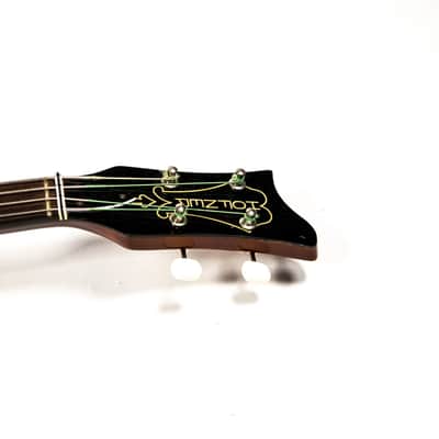 Hoffner Bass Owned by Brian Setzer image 13