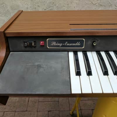 ARP String Ensemble 1970's Wood image 4