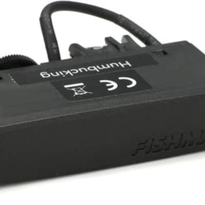 Fishman Rare Earth Magnetic Acoustic Soundhole Humbucker Pickup image 2
