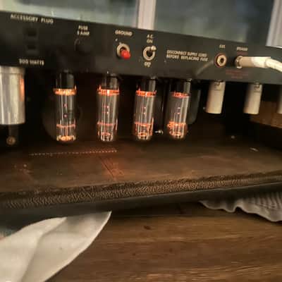 Yorkville custom special YBA-3 1960-1967 - black image 2
