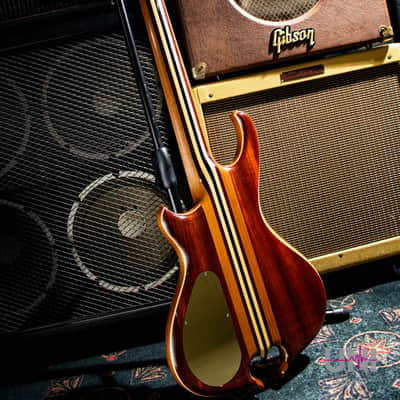 ALEMBIC MJLB5F Signature Standard 2010 image 3