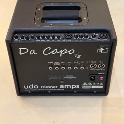 UDO ROESNER AMPS Da Capo 75w - Acoustic Guitar Combo image 7