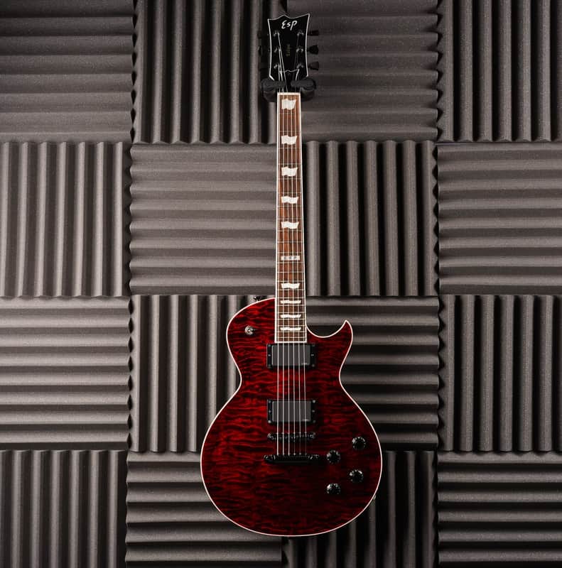 ESP Standard Eclipse QM image 2
