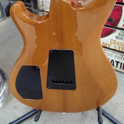 Knaggs Severn Trembuck - T1 Roasted Maple Neck 2024 - Roasted Alder image 10