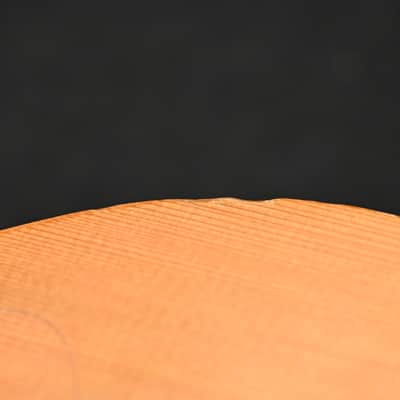 Tacoma Papoose P1 (2001) Acoustic Guitar image 18