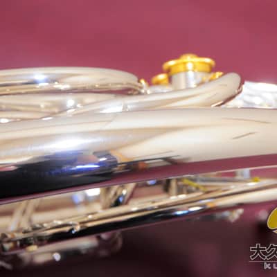 YAMAHA YHR-87DBS 120th Anniversary Full Double Horn image 13