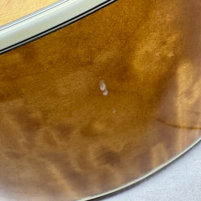 Taylor 655-CE 655ce 12-string Acoustic Guitar with Case 2000 image 17