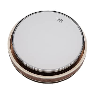 Solo BNJK-50 5-String Banjo Kit image 2