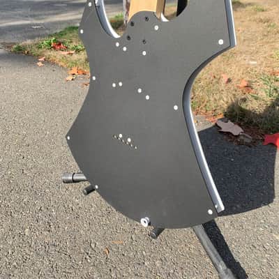Custom R L James Guitar Custom Animal 2026 - Custom image 19