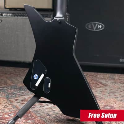 ESP LTD James Hetfield Signature Snakebyte Electric Guitar - Satin Black with Hardshell Case image 2