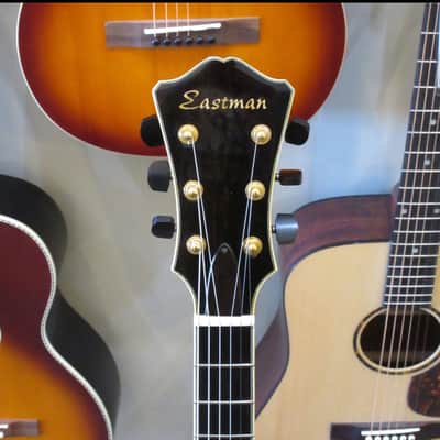 Eastman AR803D 2007 - Sunburst image 5