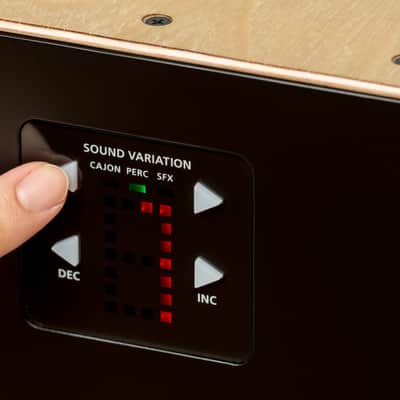 Roland EC-10 Electronic Layered Cajon image 3