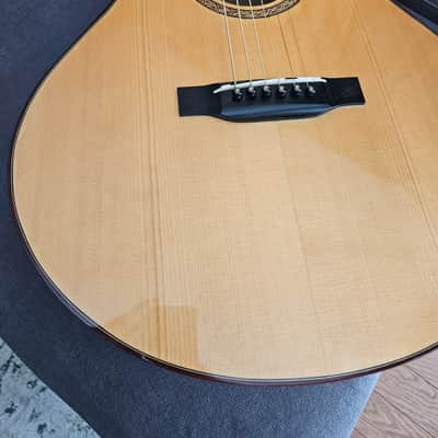Steve Patience Grand Concert | Narra / Adirondack | Serial No. 0710100 | Nitrocellulose image 4
