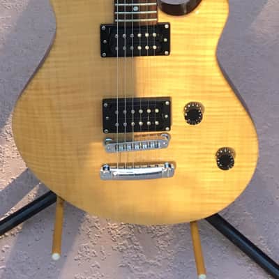 Washburn USA Custom Shop WM 100 image 1