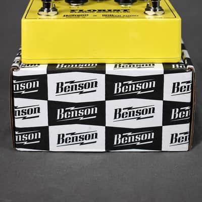 Immagine Benson Amps Florist (Yellow) - 7