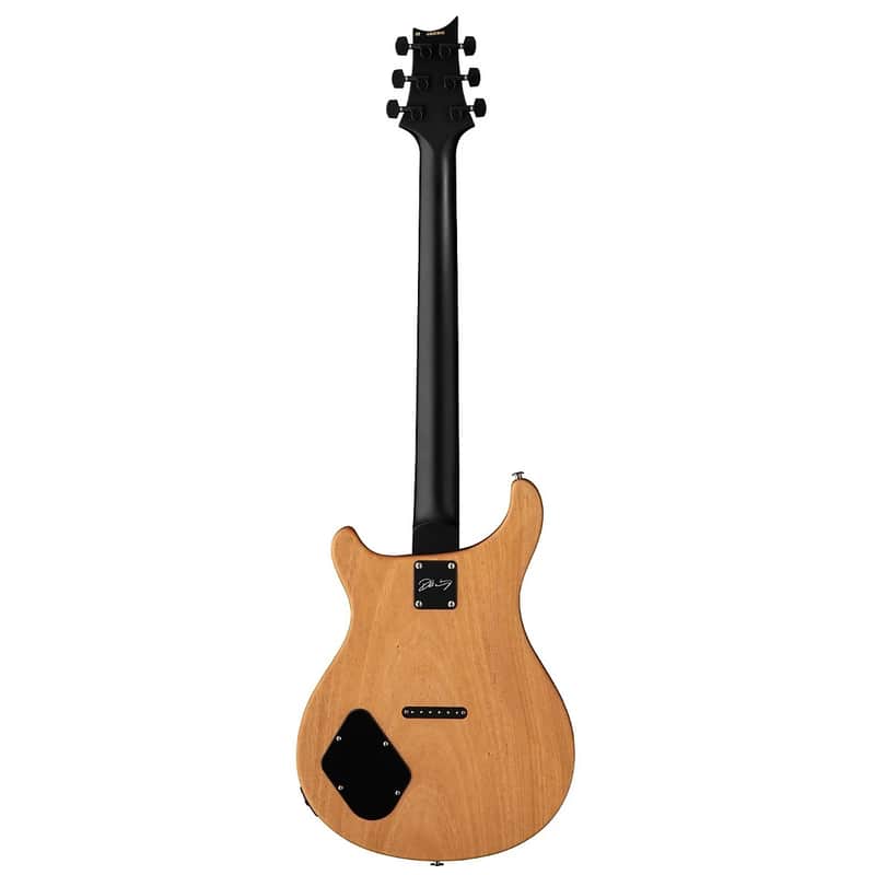 PRS Dustie Waring Signature CE 24 Hardtail image 2