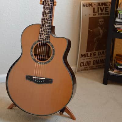 Kevin Ryan Paradiso Signature Series image 1