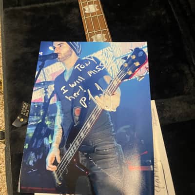 Spector NS-4CR owned by PJ Farley , Trixter, Fozzy, etc ? - Red wine quilted image 16