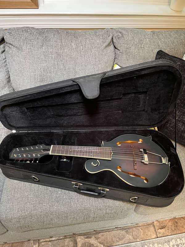 Gold Tone F-12 12-String Manditar