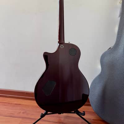 Taylor T3B 2014-2015 Sunburst image 2