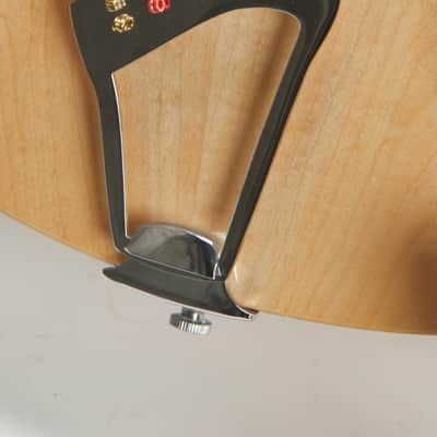 Rickenbacker 360/12 Mapleglo (2003) image 10