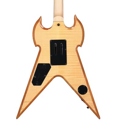 Wylde Audio Warhammer FR Electric Guitar, Norse Hammer Bullseye image 7