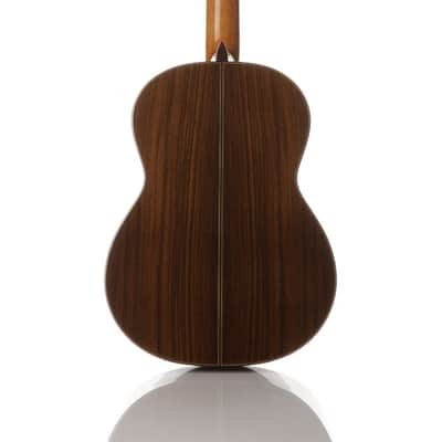 Cordoba C10 Parlor - ⅞ Size Classical Guitar - Solid Spruce Top, Solid Indian Rosewood back/sides image 3