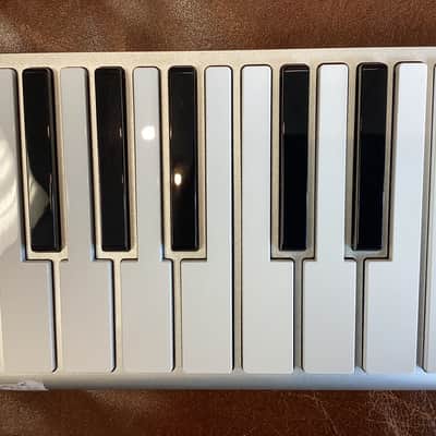 CME Xkey  37 - White image 6