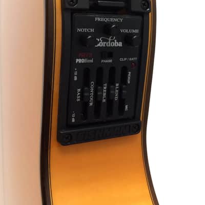 Cordoba 55FCE Thinbody Nylon String Flamenco Acoustic-Electric Guitar w/ Case - Made in Spain image 6